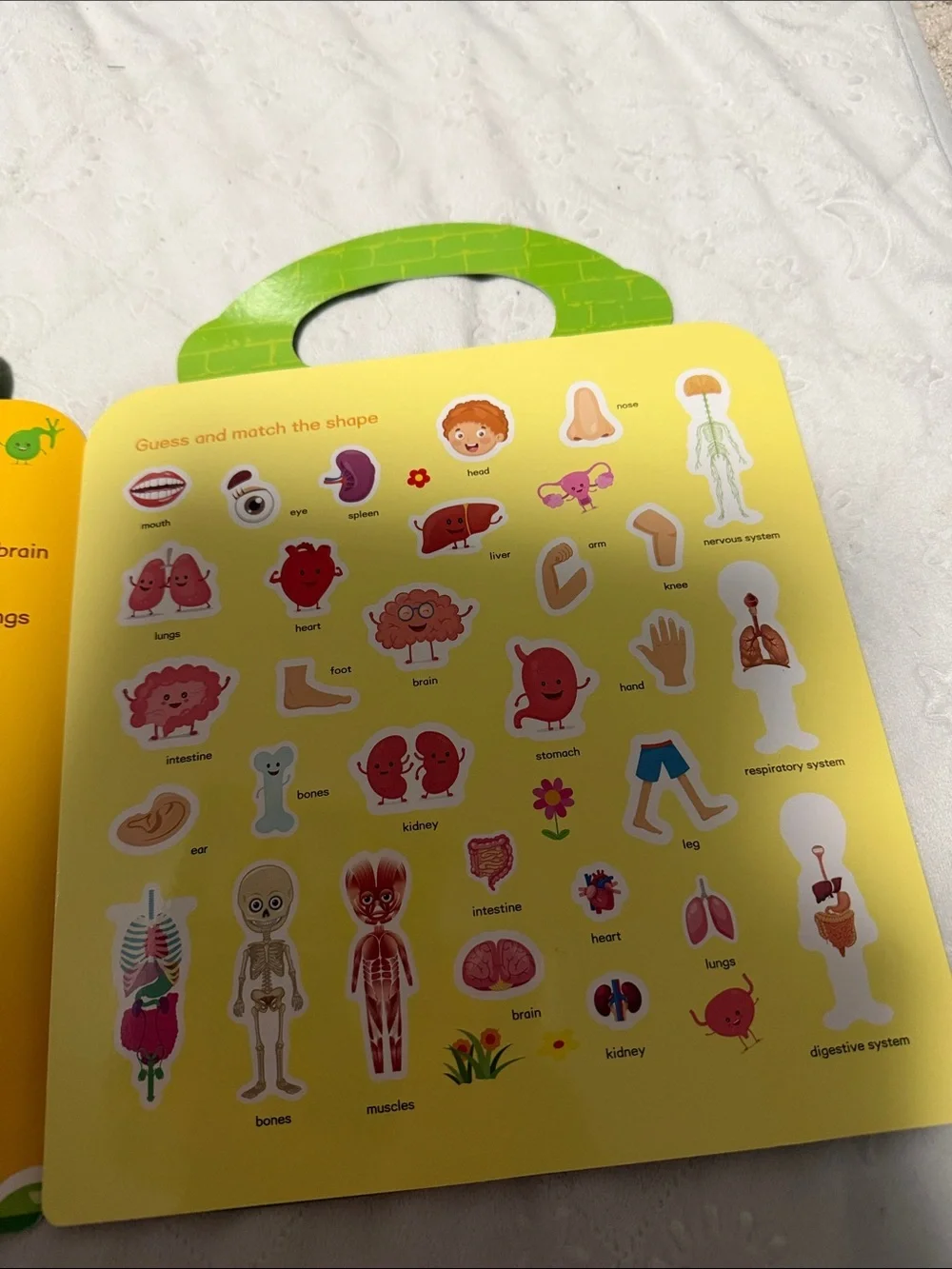 My Body! Kids Educational Sticker Book - Orange